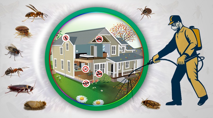 Harmandalı Böcek İlaçlama